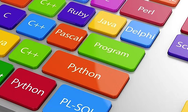 What are the Top Rated Programming Languages?